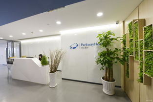 百匯管理公司裝飾設(shè)計(jì)服務(wù)項(xiàng)目 專業(yè)設(shè)計(jì)，塑造卓越空間