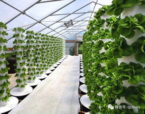 陽光板助力農業生態餐廳建設