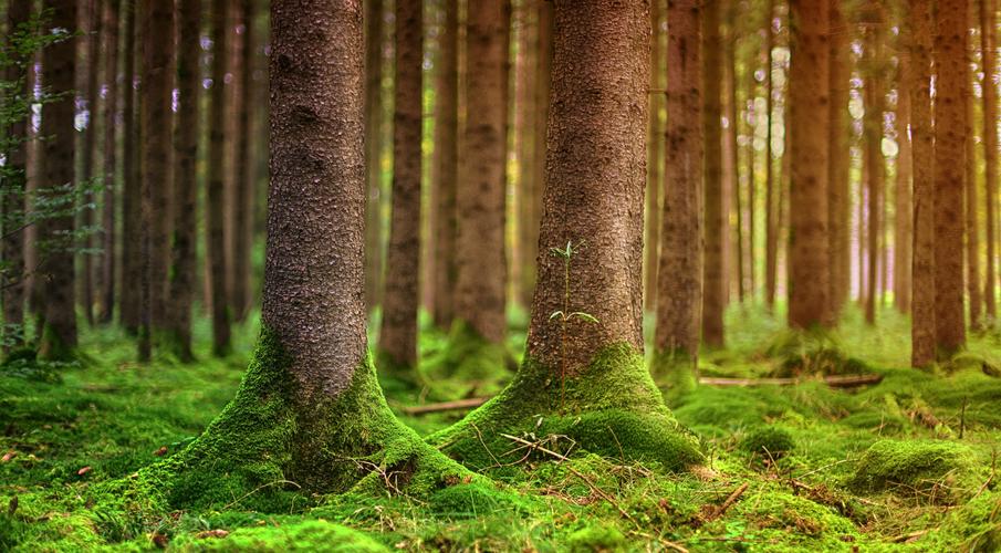 綠色(家具,建材,快遞包裝)產(chǎn)品認(rèn)證