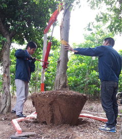液壓起吊機 優(yōu)質(zhì)起吊機 樹木起吊機