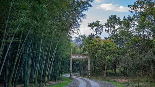 五一 趣 哪玩 五個一 百花大會帶你玩轉富陽