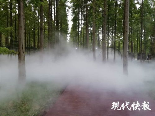 江蘇林木種苗與林下經濟產業協同發展，總產值突破746億元